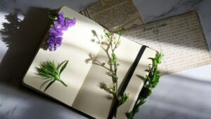 AI Journaling Apps